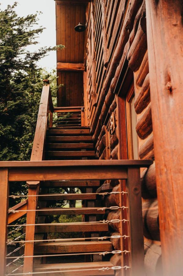 Wilder And Pine Riverside Cabins 史蒂文森 外观 照片
